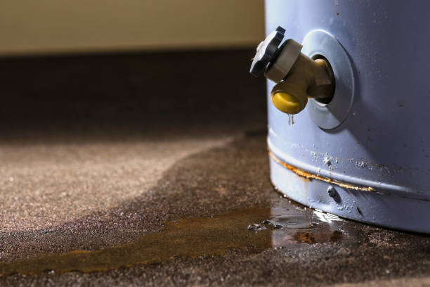 Best Commercial water damage restoration  in Waterville, OH