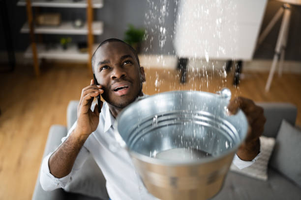 Best Water damage restoration cost  in Waterville, OH