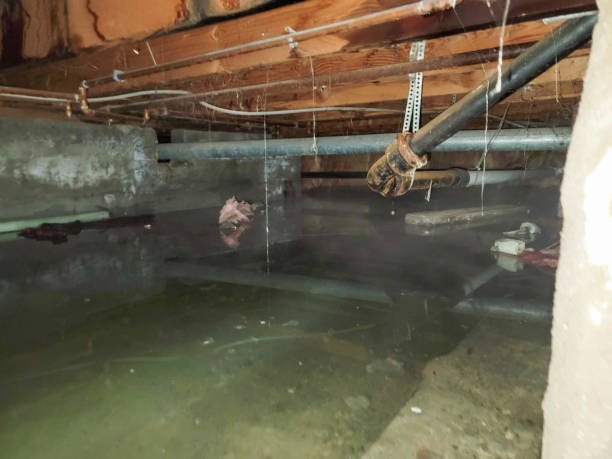 Reliable Waterville, OH Water damage restoration Solutions