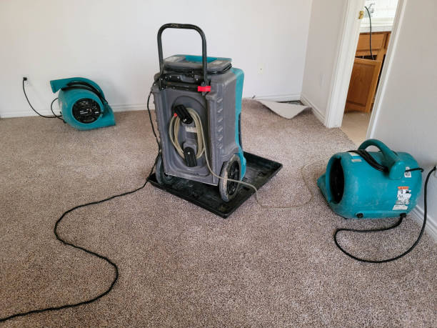 Best Flood damage cleanup  in Waterville, OH