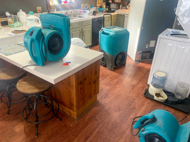  Waterville, OH Water damage restoration Pros