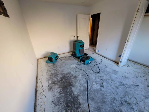 Best 24/7 water damage repair  in Waterville, OH