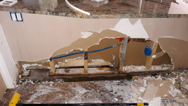 Best Ceiling water damage repair  in Waterville, OH