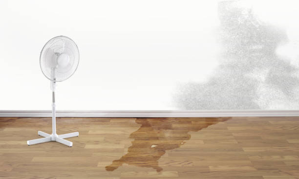 Best Sewage cleanup and water damage restoration  in Waterville, OH