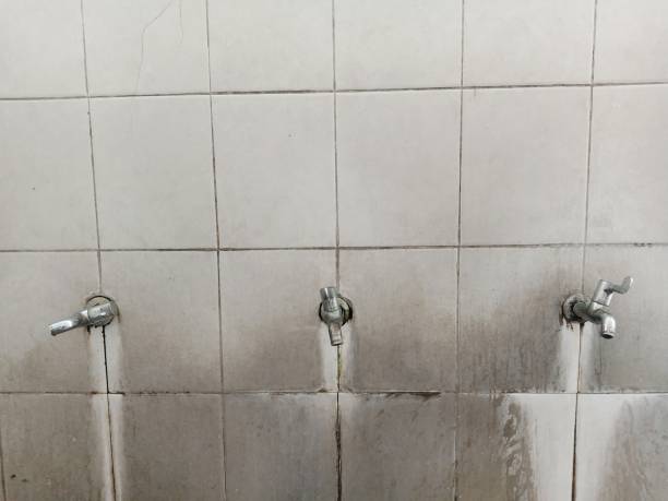 Water damage restoration mold remediation in Waterville, OH