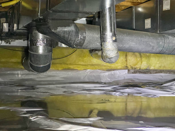 Carpet water damage restoration in Waterville, OH