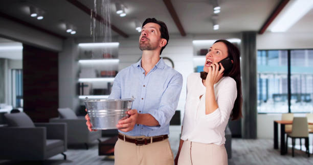 Best Fire Damage Restoration  in Waterville, OH