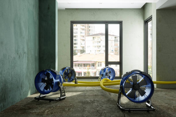 Best Carpet water damage restoration  in Waterville, OH